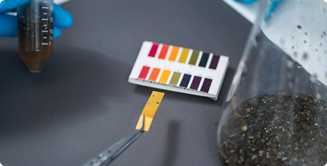 Regulatory & Certification Support Regulatory & Certification Support